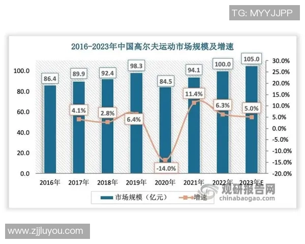 深圳网球队技术深度解析与训练方法探讨